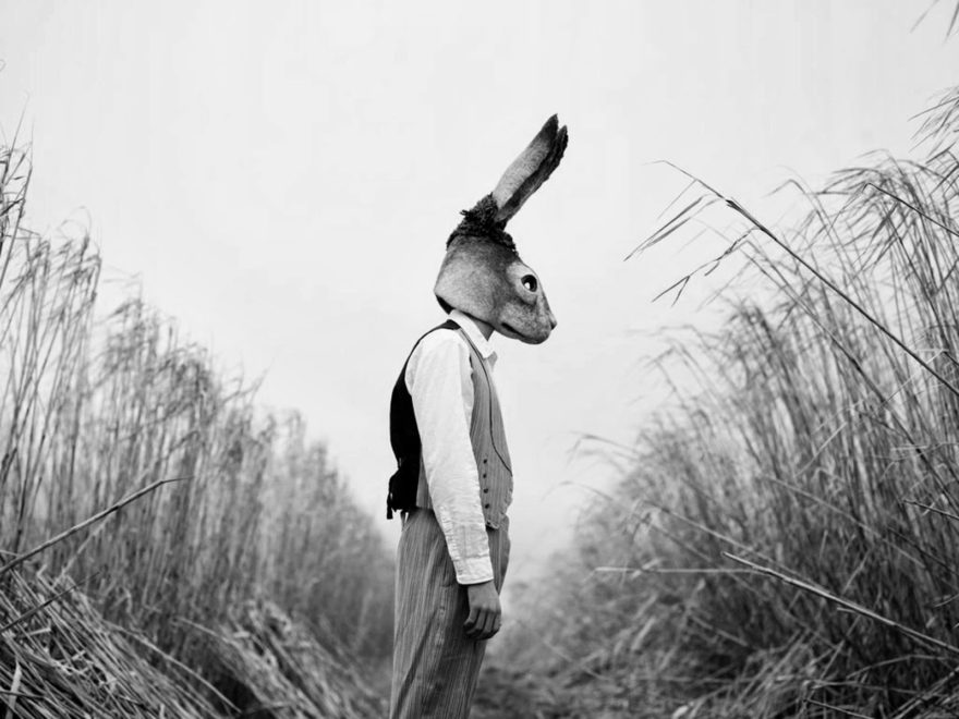 Hare-headdress-by-Gladys-Paulus-photography-by-Bella-West